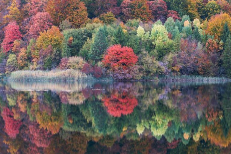 specchiata autunnale a Plitivice